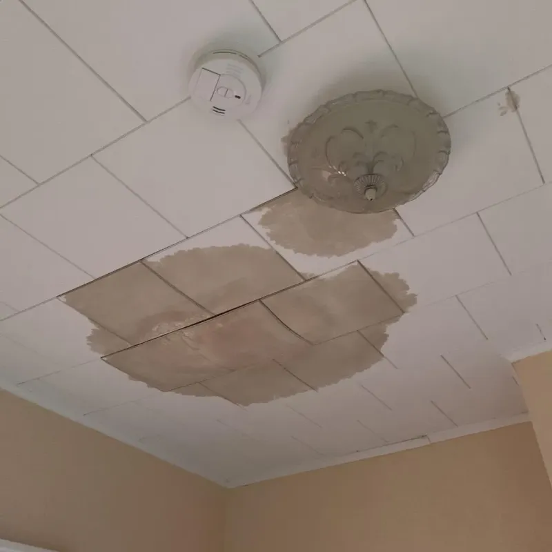 Ceiling Water Damage Repair in Hamilton, OH