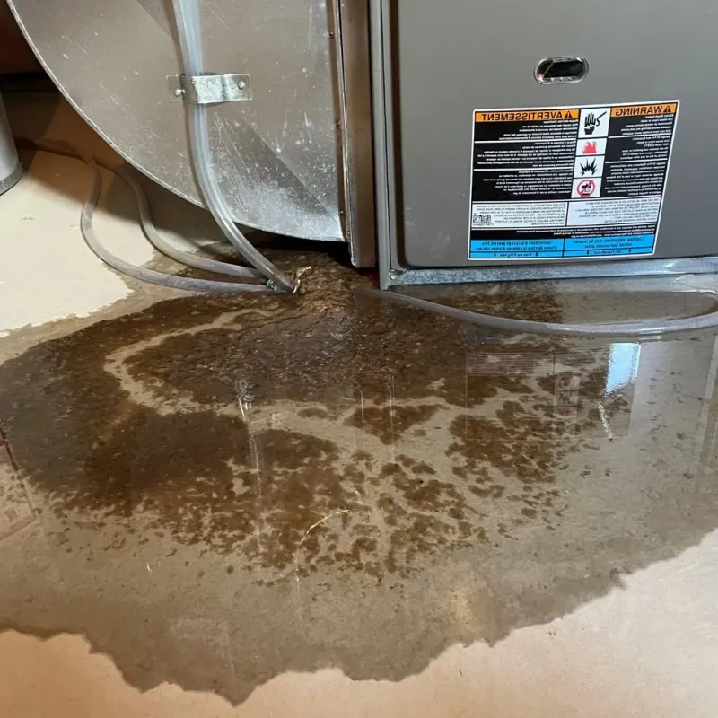 Pipe Burst and Leak Restoration in Hamilton, OH